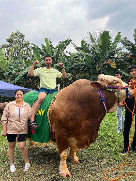 <p>Raffi Ahmad dan Nagita Slavina baru saja mengunggah potret sapi kurban mereka. Untuk Idul Adha tahun ini, mereka membeli hewan kurban dari kaki Gunung Merapi.&nbsp;(Instagram/raffinagita1717)</p>