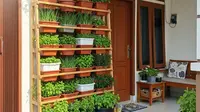 8 Ide Urban Farming Sederhana untuk Rumah Type 36, Wujudkan Kebun Impian di 2026
