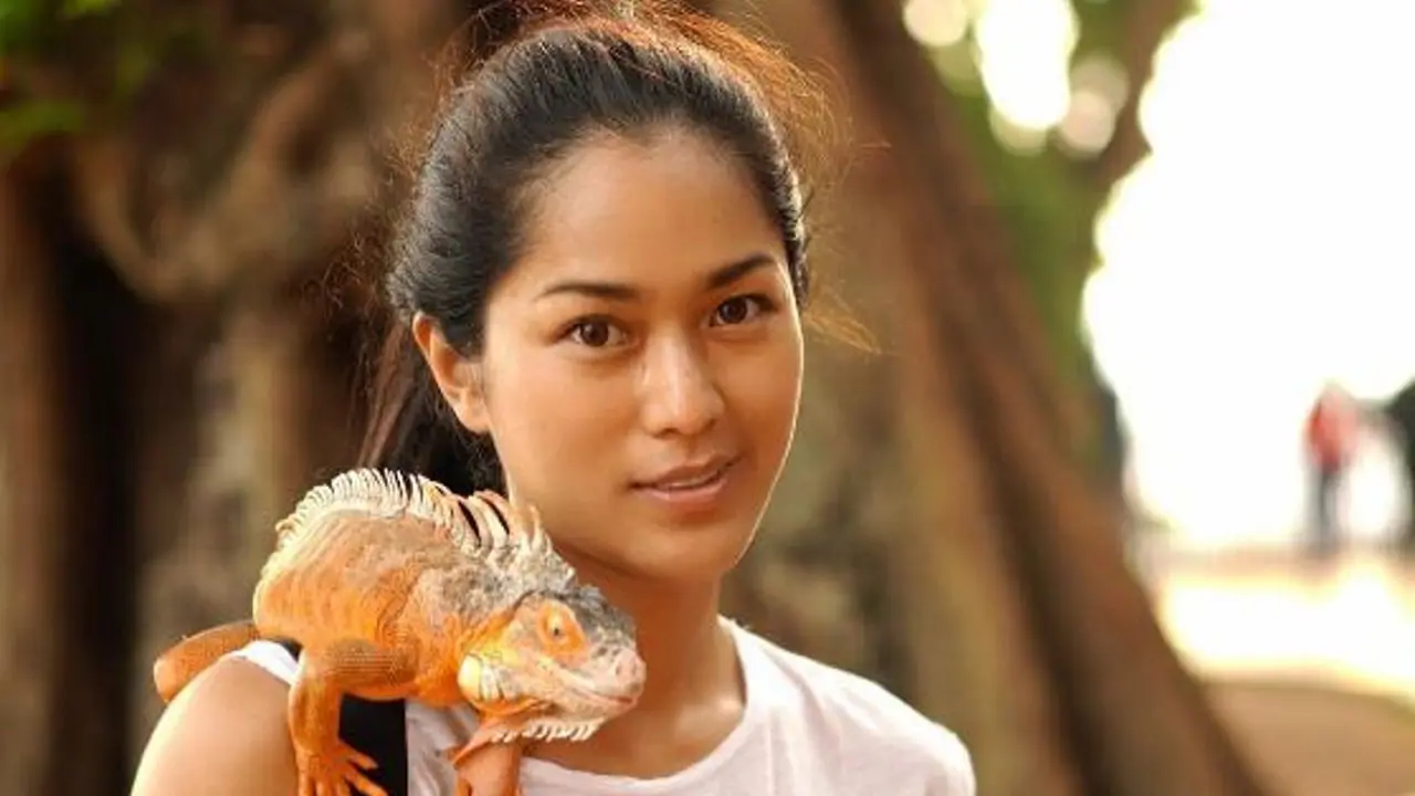 Prisia Nasution