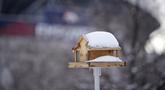 Salju menutupi rumah burung di halaman Museum Anak Denver di Kampus Marsico, Denver (27/1/2022). Badai musim dingin yang bergerak cepat turun hingga setengah kaki salju di wilayah metropolitan Denver sebelum pindah ke dataran timur. (AP Photo/David Zalubowski)