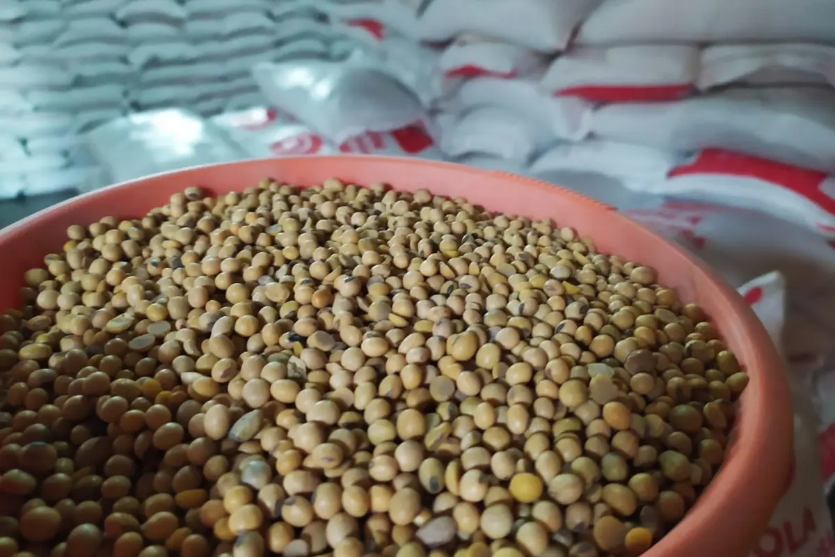 Butiran kacang kedelai impor Amerika menjadi salah satu komoditas yang sangat dibutuhkan pengrajin tempe di Garut, Jawa Barat.