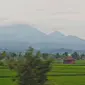 Gunung Pandan di Bojonegoro Jawa Timur. (Dok: IG @drisendo.pict&nbsp;https://www.instagram.com/drisendo.pict/p/CnLtGf8Sx59/?igsh=bmlrb2J0MTZ5NjIw)