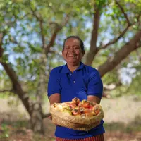 Petani Mete di Sumba/dok. Talasi