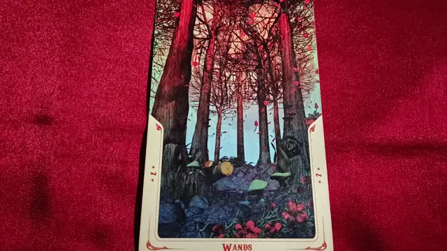 Kartu Tarot
