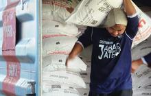 Lembaga Riset Hingga Akademisi Dilibatkan untuk Cari Inovasi di Industri Pupuk Hadapi Perubahan Iklim