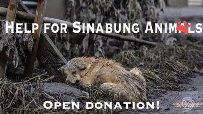 Editor Says: Pujian untuk Mereka yang Selamatkan Satwa Sinabung