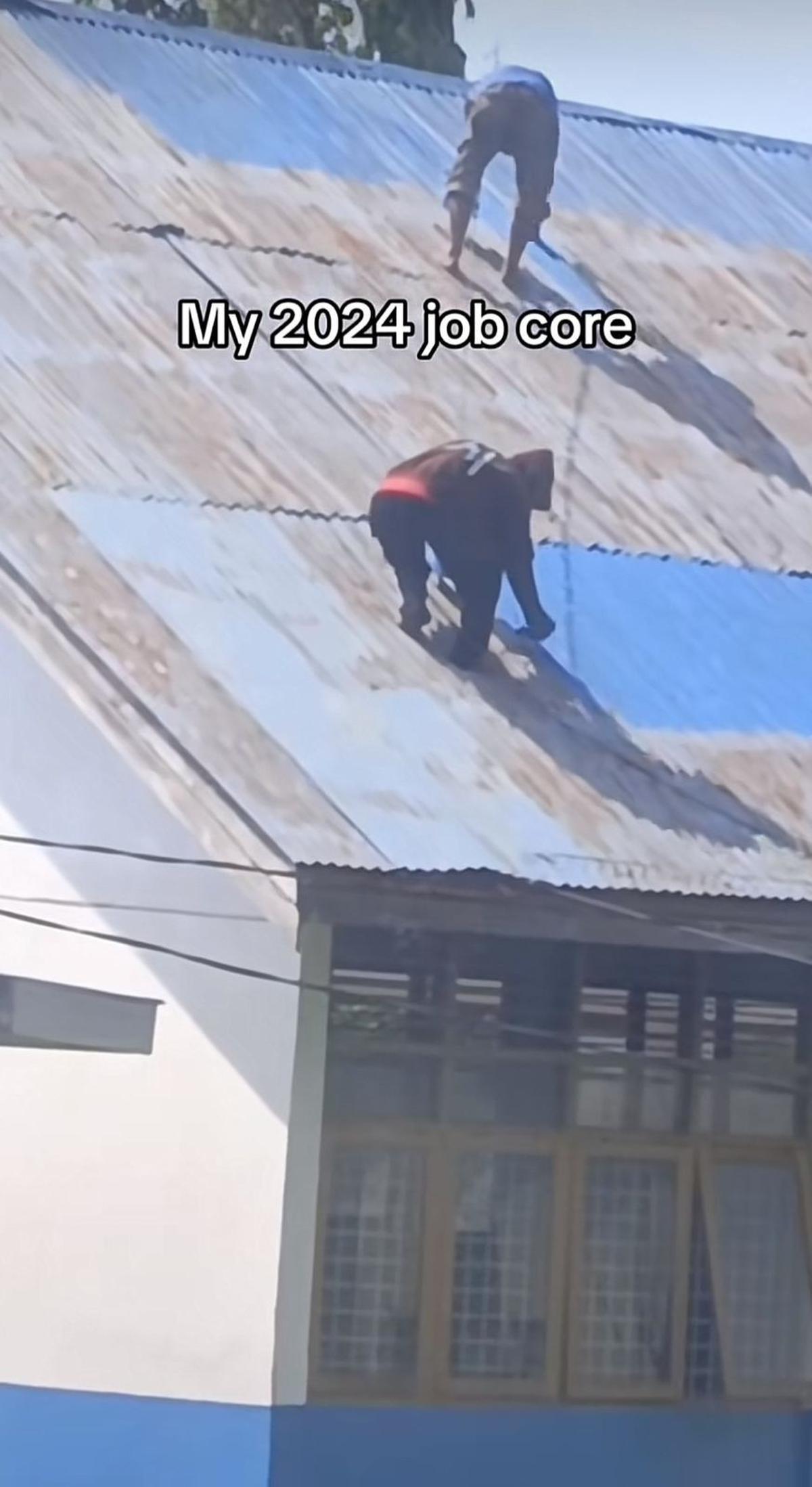 Video Kompilasi Alan Walker dengan Berbagai Pekerjaan Unik yang Viral di Media Sosial