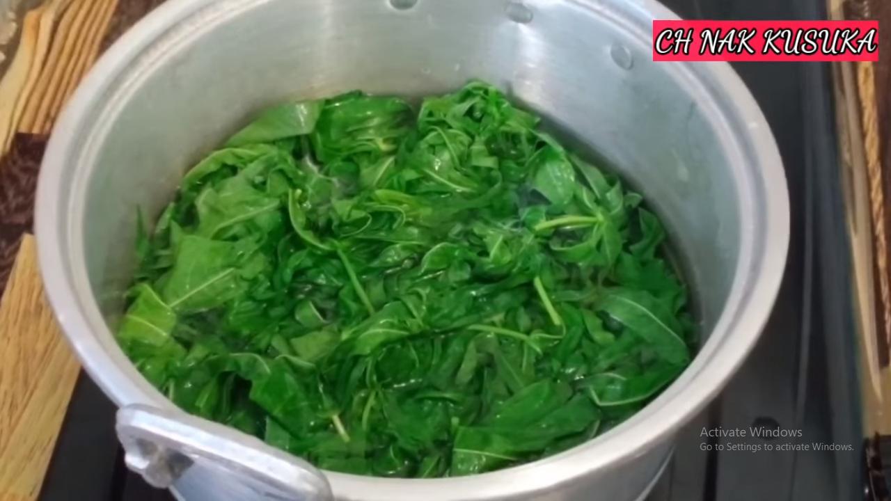 Cara Cepat Rebus Daun Singkong Agar Tetap Hijau dan Empuk