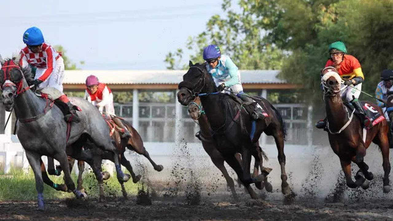 Kuda King Argentin Raih Gelar Triple Crown Indonesia, Akhiri Penantian Selama 20 Tahun