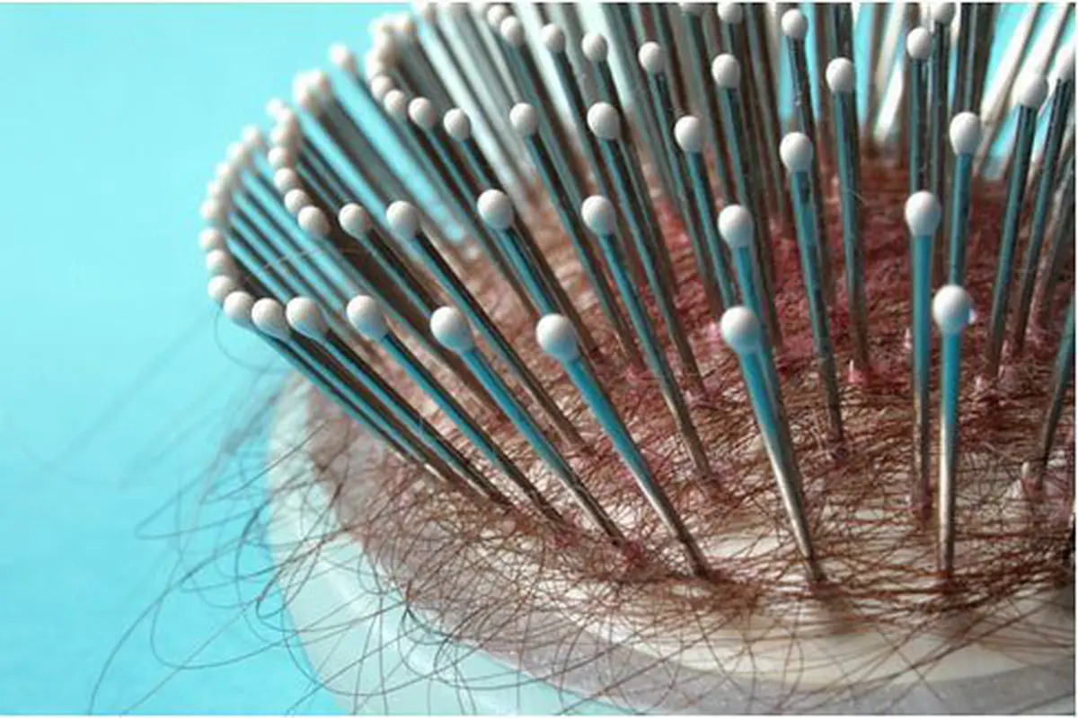 Bahan alami atasi rambut rontok/copyright Shutterstock.com
