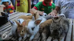 Sejumlah anak melihat kelinci dalam pameran flora dan fauna di Jakarta, Sabtu (19/9/2015). Pameran yang digelar selama 30 hari menghadirkan 150 stand bursa tanaman hias, tanaman buah, tanaman herbal, dan hewan peliharaan. (Liputan6.com/Faizal Fanani)