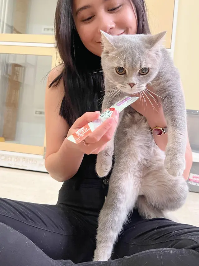 Dulu Sempat Takut, Ini 7 Potret Prilly Latuconsina Adopsi Kucing Imut Bernama Mochi