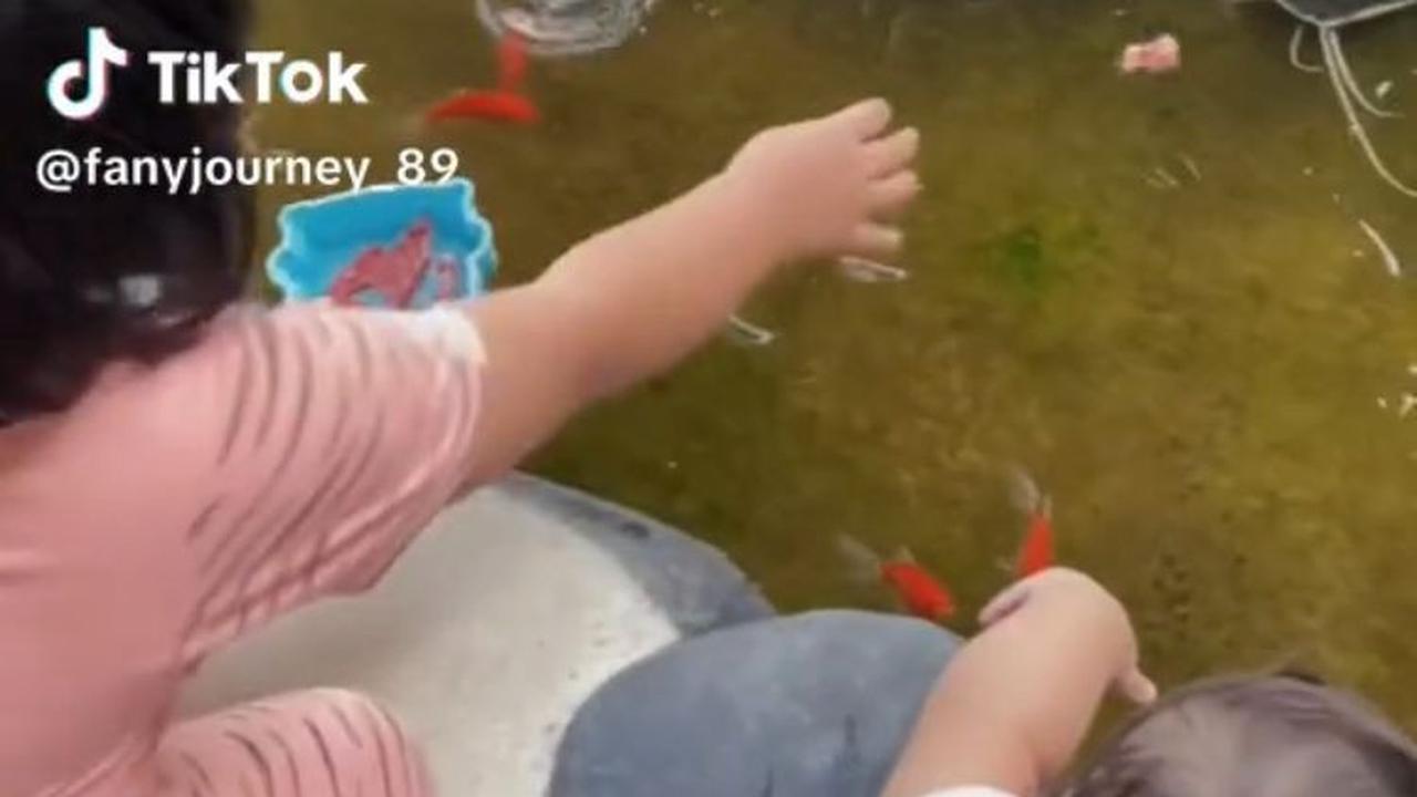 Di awal video, tampak seorang anak melempar makanan ke kolam ikan peliharaannya. Dalam video, anak berbaju pink ini tampaknya masih kecil. Sementara di sampingnya, ada juga adiknya yang masih balita.