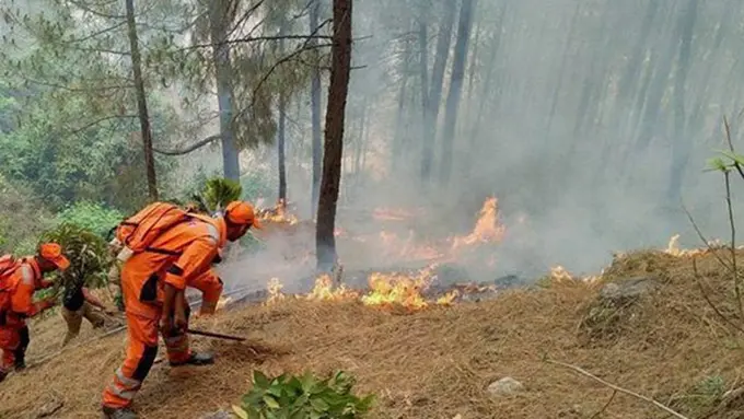 Ilustrasi Photo: indianexpress.com