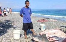 Potongan Tubuh Penyelam Ditemukan Dalam Perut Hiu