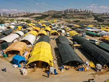 Pemandangan udara ini menunjukkan pasar darurat yang didirikan di mana hewan kurban dijual menjelang hari raya Idul Adha di lingkungan Yakacik di Ankara, Turki, Senin (12/7/2021). Hari suci umat Muslim, Idul Adha dilaksanakan dengan menyembelih hewan kurban. (Adem ALTAN / AFP)