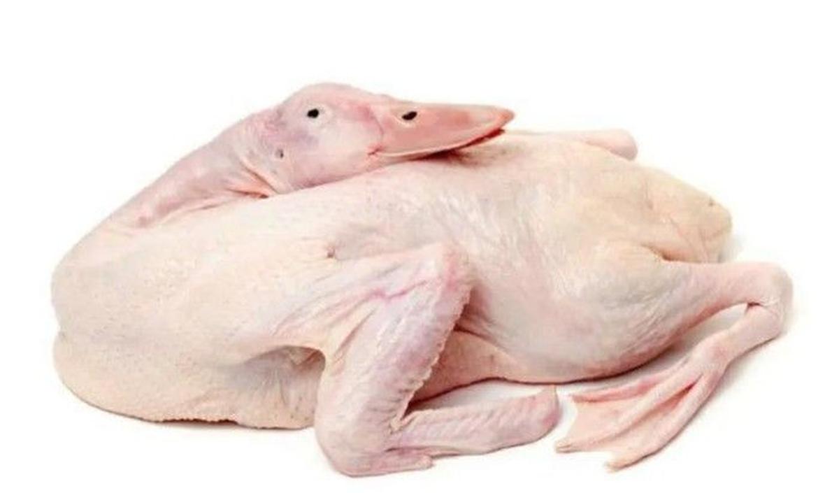 1. Pilih Daging Bebek yang Segar<br>