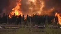Kebakaran di Kanada. (CBS News)