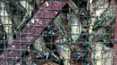 Burung pipit terlihat dalam kandang saat dijual di kawasan Pasar Petak Sembilan, Glodok, Jakarta, Minggu (31/1/2021). Pedagang pipit mengaku mengalami penurunan omzet saat pandemi karena banyak vihara yang tak menyelenggarakan ibadah untuk mengurangi penyebaran COVID-19. (Liputan6.com/Faizal Fanani)