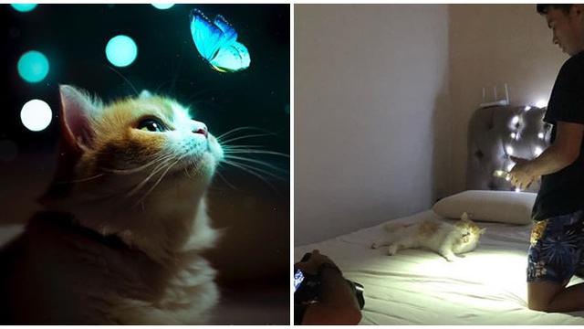 6 Potret Ekspektasi Vs Realita Foto Pakai Cahaya Lampu, Hasilnya Instagramable