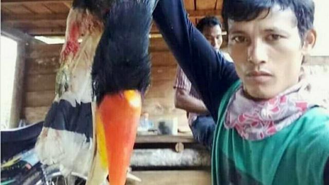 Pelaku OY yang hingga kini masih dicari petugas karena membantai Rangkong