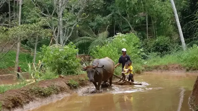 Kampung Bambu Cimenyan