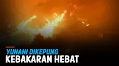 THUMBNAIL KEBAKARAN HUTAN