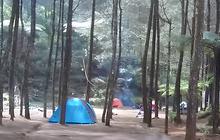 Asyiknya Berkemah di Bukit Kanaga Cikijing, Pemandangan Kabut dan Hutan Pinusnya Bikin Nagih