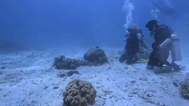 El Rumi menyelamat di laut