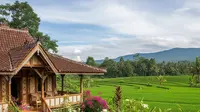 7 Rumah Desa dengan Jendela Jalusi Agar Angin Masuk Maksimal, Ciptakan Hunian Sejuk dan Nyaman