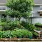 10 Ide Food Forest di Halaman Kurang dari 100 Meter Persegi, Panen Melimpah