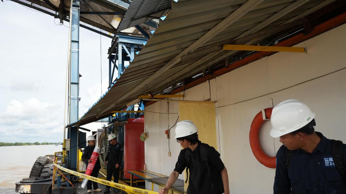 Selamatkan Pesut Mahakam dari Kepunahan, 2 Perusahaan Pengangkutan Batu Bara Dilarang Beroperasi