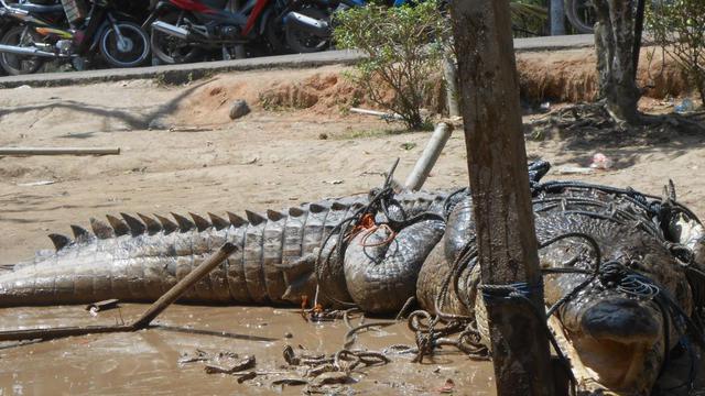 Mancing Bocah Di Papua Nugini Dilahap Buaya Global Liputan6 Com