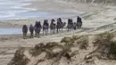 Wisatawan menikmati perjalanan manaiki unta dipandu pawangnya di sepanjang bukit pasir di Stockton Beach, Australia, Jumat (6/11/2020). Stockton Beach adalah rumah bagi bukit pasir bergerak terbesar di Belahan Bumi Selatan dengan beberapa di antaranya Tinggi 30 meter (98 kaki). (AP Photo/Mark Baker)