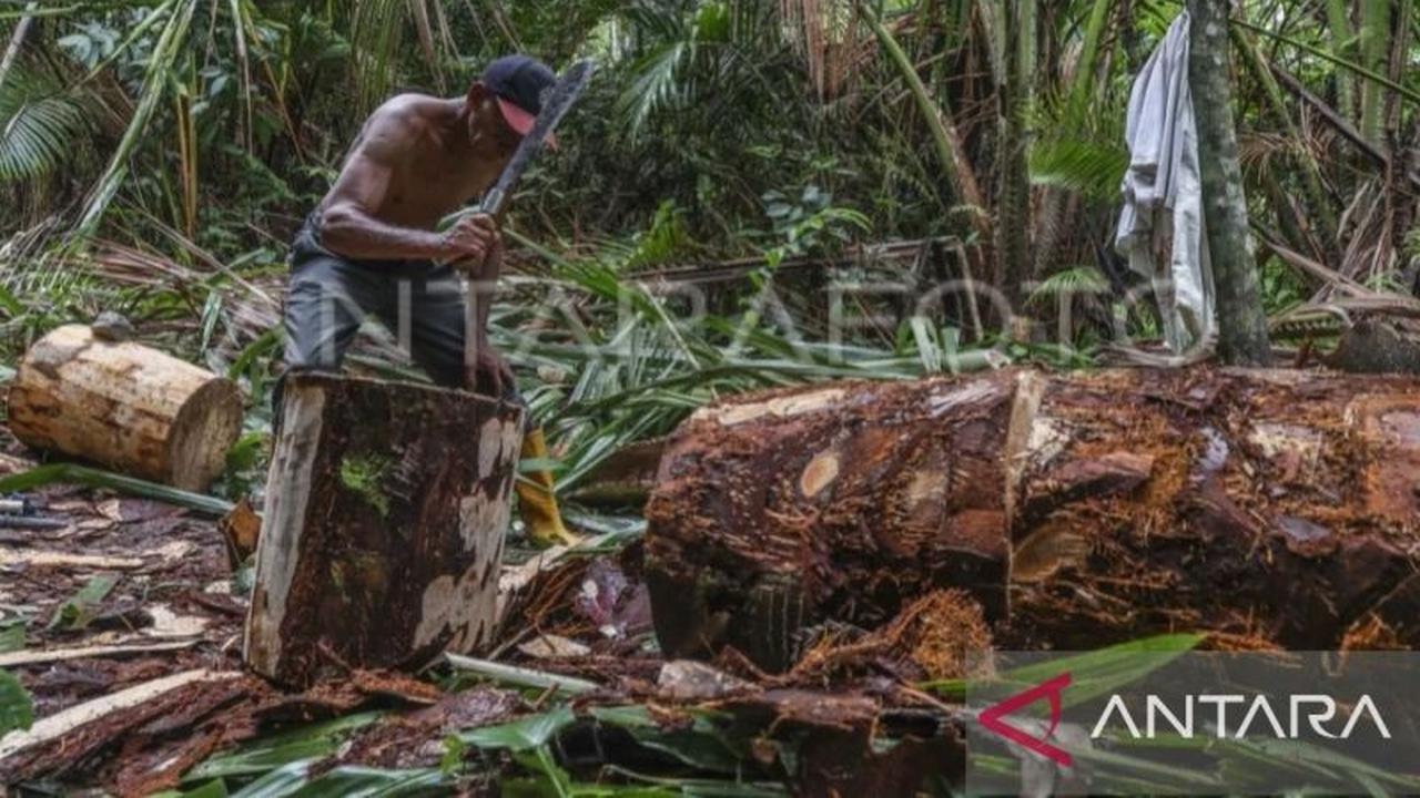 Unpatti Dorong Pengembangan Agroforestri Lindungi Hutan di Maluku untuk Keseimbangan Ekologi