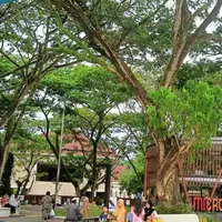 Kota Samarinda Lampaui Target Sediakan Ruang Terbuka Hijau