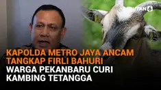 Kapolda Metro Jaya Ancam Tangkap Firli Bahuri, Warga Pekanbaru Curi Kambing Tetangga