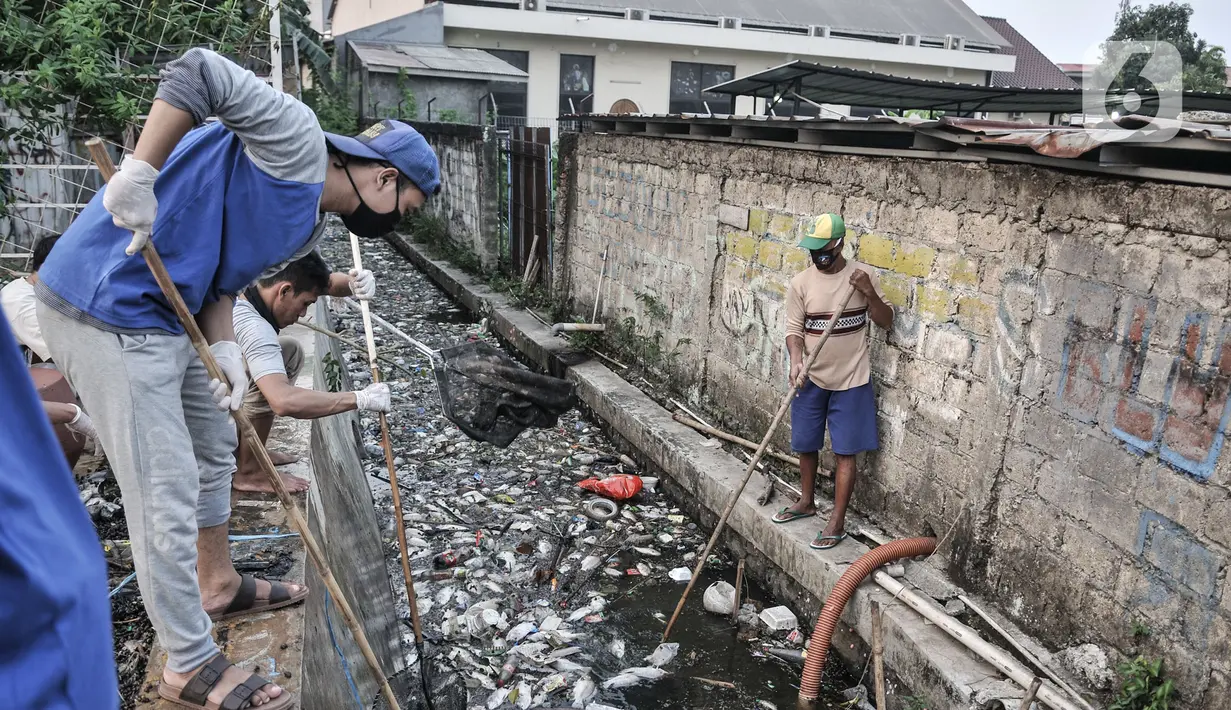 Warga membersihkan bangkai ikan Mujair yang terbawa hingga selokan permukiman di Lio, Depok, Jawa Barat, Kamis (20/8/2020). Sejak dua hari terakhir ribuan ekor ikan Mujair mati dan memenuhi Situ Rawa Besar yang menurut warga setempat disebabkan oleh faktor cuaca. (merdeka.com/Iqbal S. Nugroho)