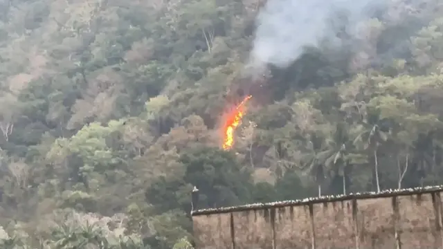 Kebakaran lahan melanda kawasan perbukitan di Pekon Parerejo, Kecamatan Gadingrejo, Kabupaten Pringsewu, Lampung. (Liputan6.com/Istimewa).