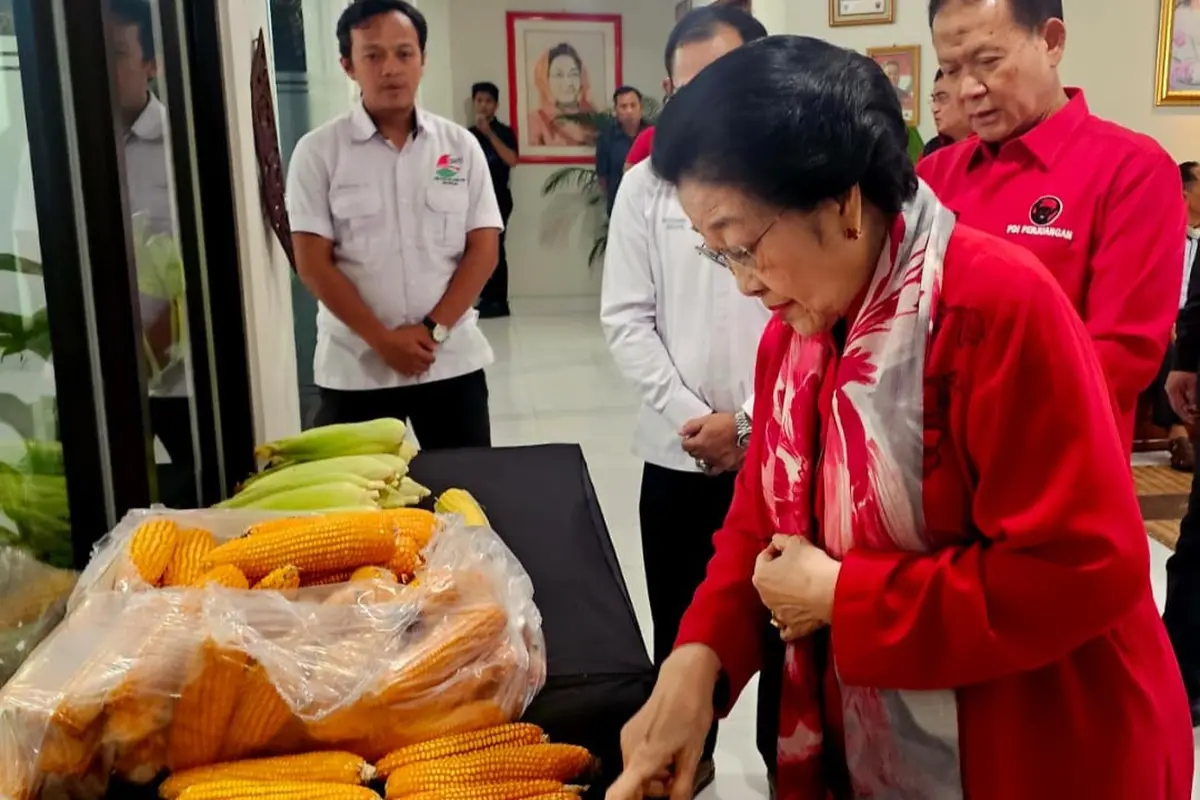 Ketua Umum PDI Perjuangan, Megawati Soekarnoputri hari ini, Selasa (2/6/2026), bertemu dengan Gerakan Nelayan Tani Indonesia (GNTI) di Sekolah Partai PDIP, di Lenteng Agung, Jakarta Selatan.