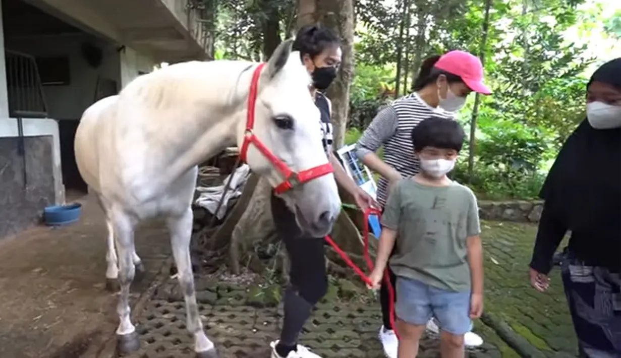 Kuda baru Nagita Slavina (Youtube/ Rans Entertainment)