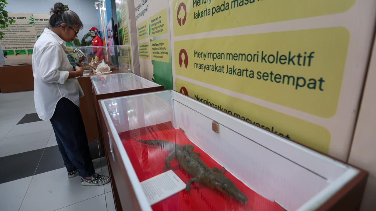 Mengenal Kekayaan Hutan Lewat Pameran Gratis di Stasiun MRT Bundaran HI