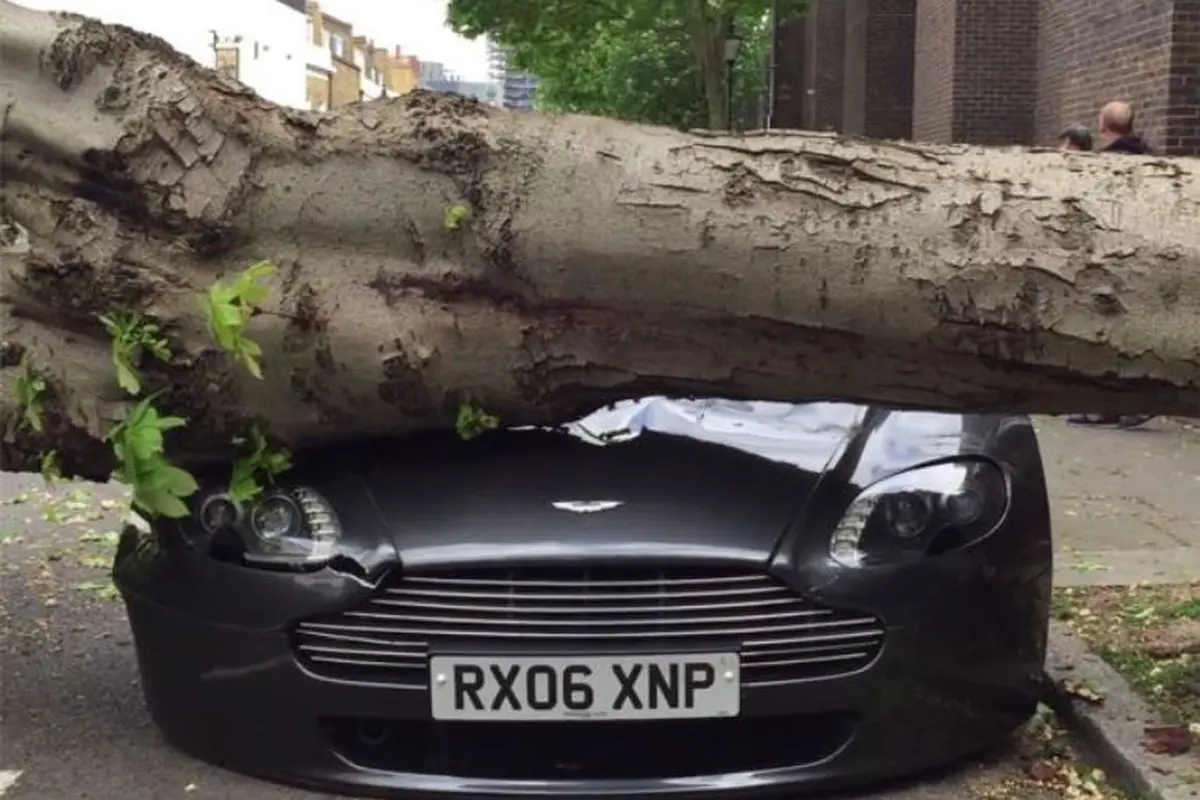 Aston Martin Penyok Ditimpa Pohon Tumbang