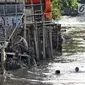 Anak-anak berenang di bawah jamban yang berada di bantaran Kali Ciliwung, Jakarta, Senin (19/11). Saat ini, tercatat sekitar 500 ribu penduduk DKI Jakarta tidak memiliki akses sanitasi yang layak. (Merdeka.com/Iqbal Nugroho)