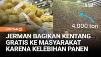 Jerman Bagikan Kentang Gratis ke Masyarakat Karena Kelebihan Panen