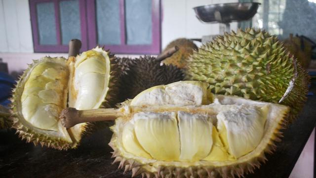 Download 62 Gambar Durian Segar Terbaru Gratis
