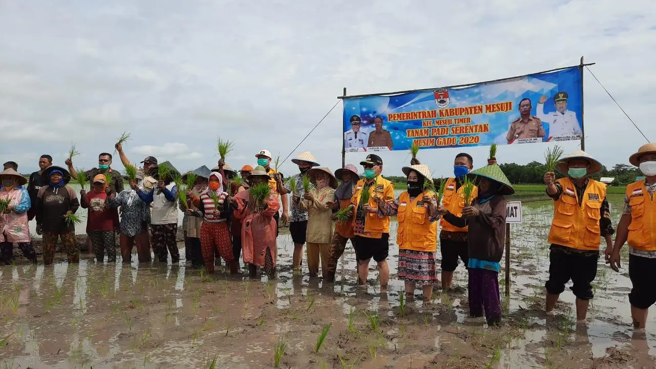 Kementan Tanaman Pangan