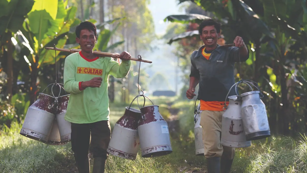Susu kental manis