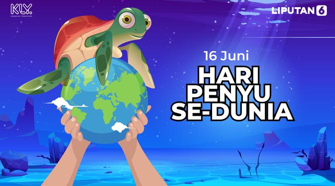 16 Juni Hari Penyu Sedunia Selamatkan Penyu Dari Ancaman Sampah Plastik Citizen6 Liputan6 Com