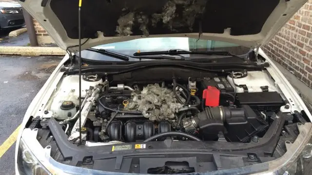 Tikus di Mesin Mobil